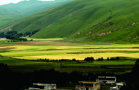 022_調(diào)整大小.jpg 022_調(diào)整大小.jpg